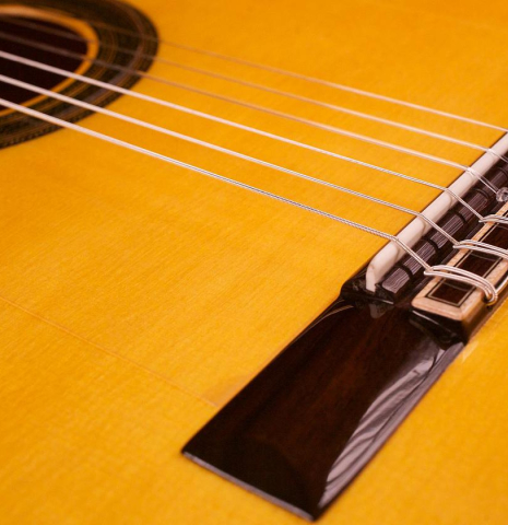 Guitar Salon "Studio Series" FC-100 SP/CY