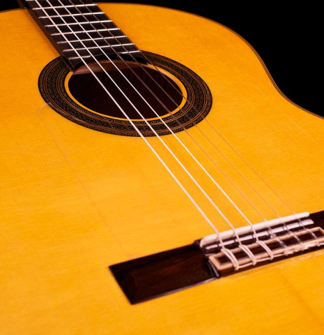 Guitar Salon "Studio Series" FC-100 SP/CY
