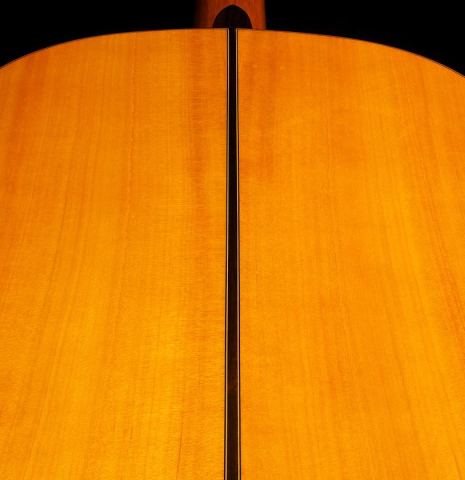 Guitar Salon "Studio Series" FC-100 SP/CY
