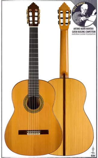 1867 Antonio de Torres SP/MP Guitar | GSI