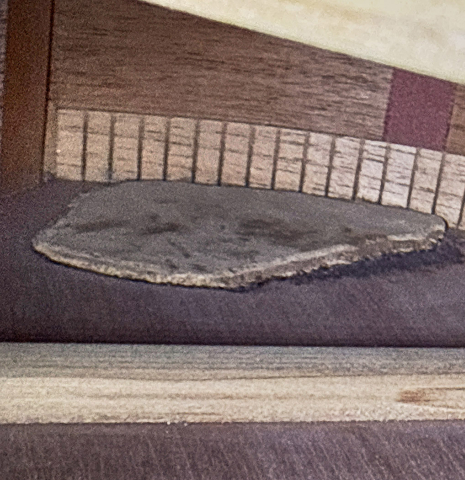 The back repair of a 1951 Martin D-18 steel-string guitar made of spruce and mahogany