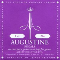 Augustine "Regal Blue"