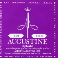 Augustine "Regal Black"