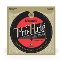 D'Addario "Pro Arte" Lightly Polished (EJ45LP)
