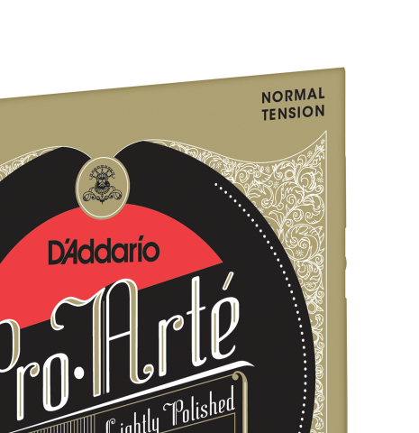 D'Addario "Pro Arte" Lightly Polished (EJ45LP)