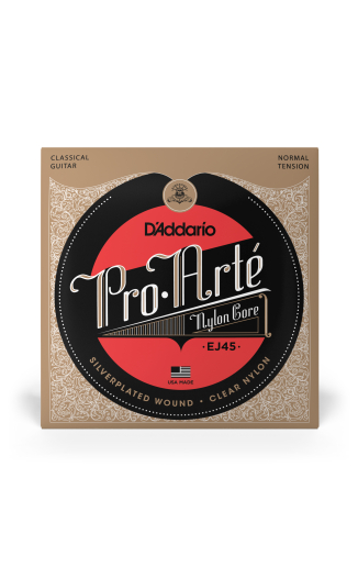 D'Addario "Pro Arte" (EJ45)