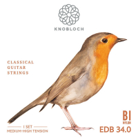 Knobloch "Erithacus" Double Silver BI Nylon Medium-High Tension EDB34.0