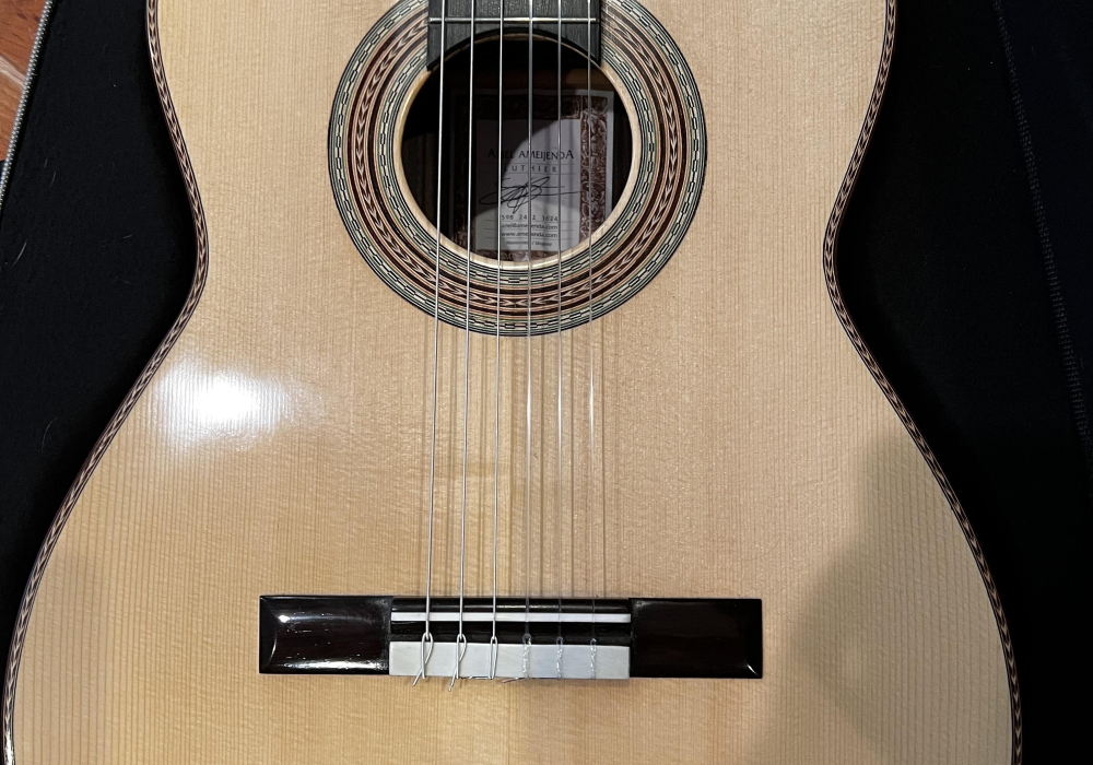 2016 Ariel Ameijenda Spruce Indian Rosewood