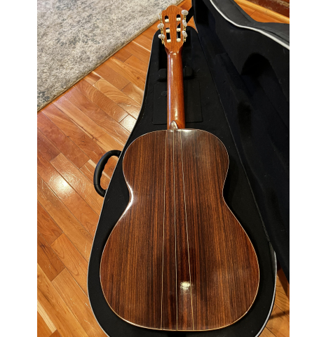 2016 Ariel Ameijenda Spruce Indian Rosewood