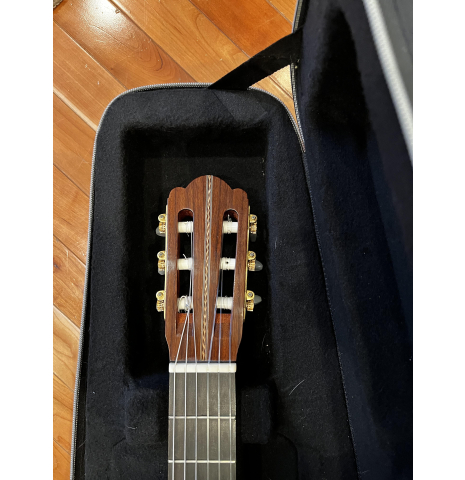 2016 Ariel Ameijenda Spruce Indian Rosewood