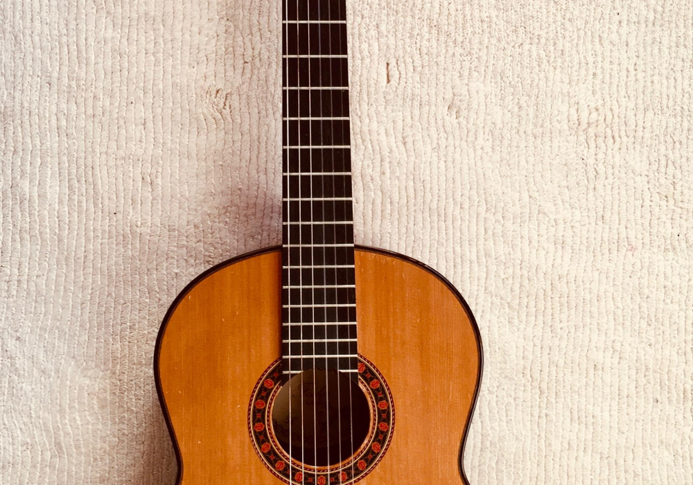 1984 Paul Fischer Alpine Spruce Indian Rosewood