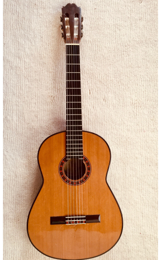 1984 Paul Fischer Alpine Spruce Indian Rosewood