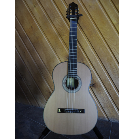 2021 Michael O'Leary Professional with upgrade Cedar Exotic Ebony - carved back