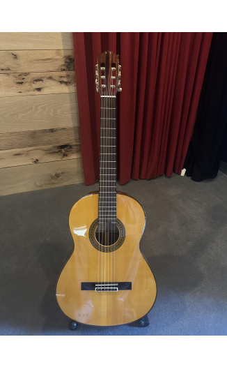Yamaha CG  171S Spruce Indian Rosewood (Lam.)
