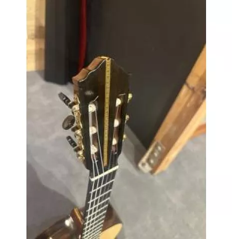 得価，人気SALE Bellucci guitar