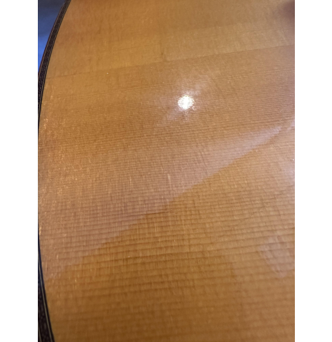 Yamaha CG  171S Spruce Indian Rosewood (Lam.)