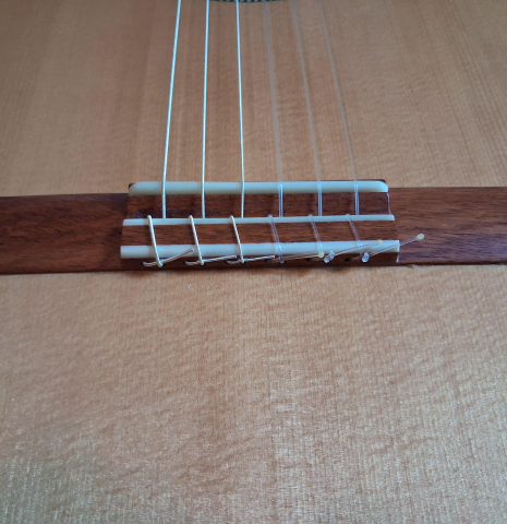 2024 German Vazquez Rubio Classic Estudio Spruce Palo Escrito