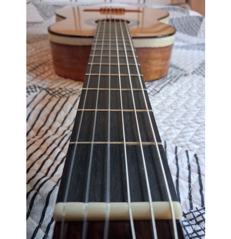 2024 German Vazquez Rubio Classic Estudio Spruce Palo Escrito