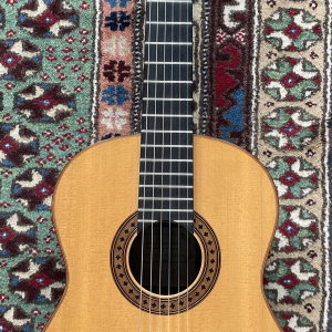 1991 Antonio Raya Pardo Spruce Brazilian rosewood 1991 Antonio Raya Pardo Spruce Brazilian rosewood