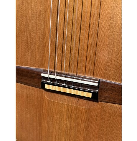 Rafael Moreno Rodrigez Cedar CSA Rosewood Rafael Moreno Rodrigez Cedar CSA Rosewood