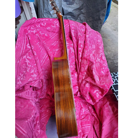 1981 Andrea Tacchi Cedar Brazilian rosewood