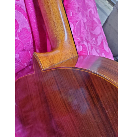 1981 Andrea Tacchi Cedar Brazilian rosewood