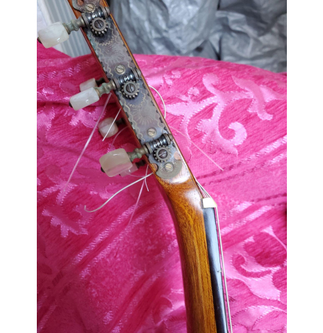 1981 Andrea Tacchi Cedar Brazilian rosewood