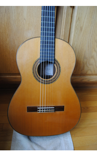 2020 Vladimir Druzhinin Cedar African Rosewood