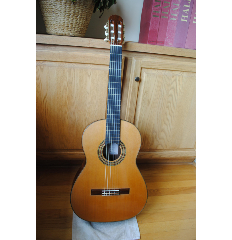 2020 Vladimir Druzhinin Cedar African Rosewood