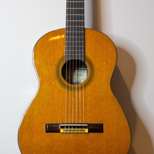 2016 Carlos Gomes Valentine Frederich Cedar Indian Rosewood