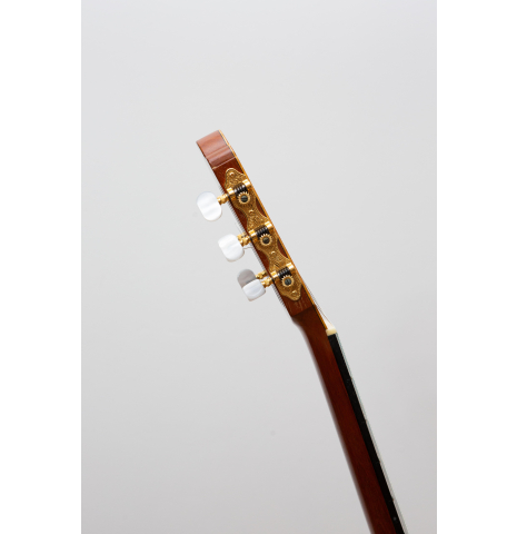 ALFONSO SAVASTANI Spruce Flamed Maple