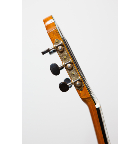 2016 Carlos Gomes Valentine Frederich Cedar Indian Rosewood