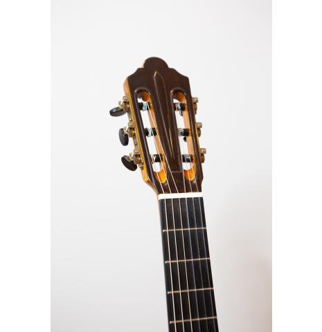 2016 Carlos Gomes Valentine Frederich Cedar Indian Rosewood