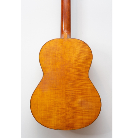 ALFONSO SAVASTANI Spruce Flamed Maple