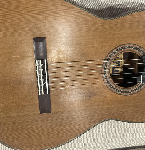 2008 Del Pillar Classical Spruce Rosewood 2008 Del Pillar Classical Spruce Rosewood