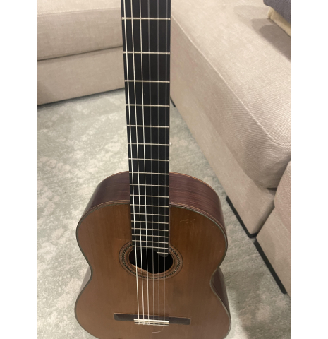 2008 Del Pillar Classical Spruce Rosewood 2008 Del Pillar Classical Spruce Rosewood
