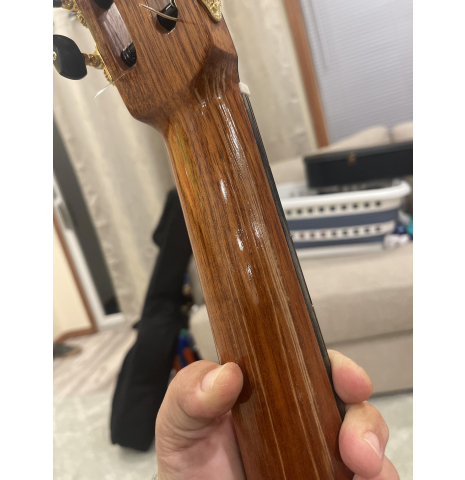2007 Darren Hippner Gittaren Pt Robert’s Spruce Brazilian rosewood 2007 Darren Hippner Gittaren Pt Robert’s Spruce Brazilian rosewood
