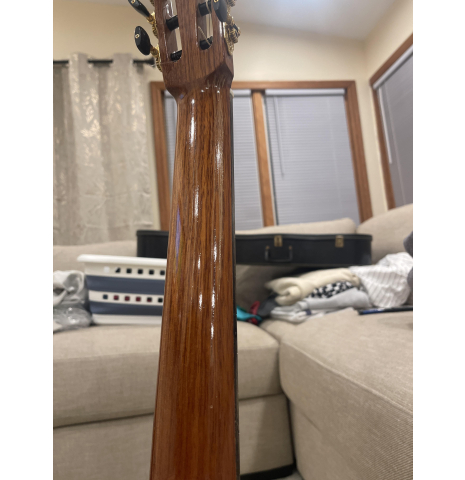 2007 Darren Hippner Gittaren Pt Robert’s Spruce Brazilian rosewood 2007 Darren Hippner Gittaren Pt Robert’s Spruce Brazilian rosewood