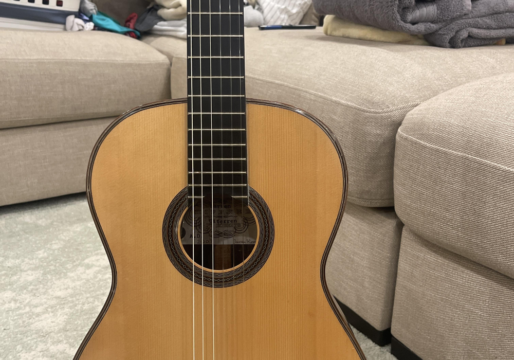 2007 Darren Hippner Gittaren Pt Robert’s Spruce Brazilian rosewood
