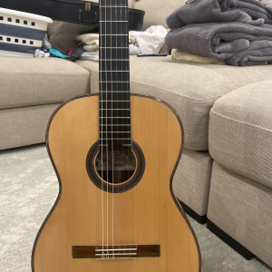 2007 Darren Hippner Gittaren Pt Robert’s Spruce Brazilian rosewood