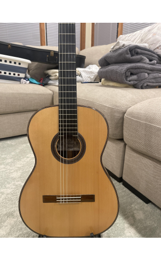 2007 Darren Hippner Gittaren Pt Robert’s Spruce Brazilian rosewood
