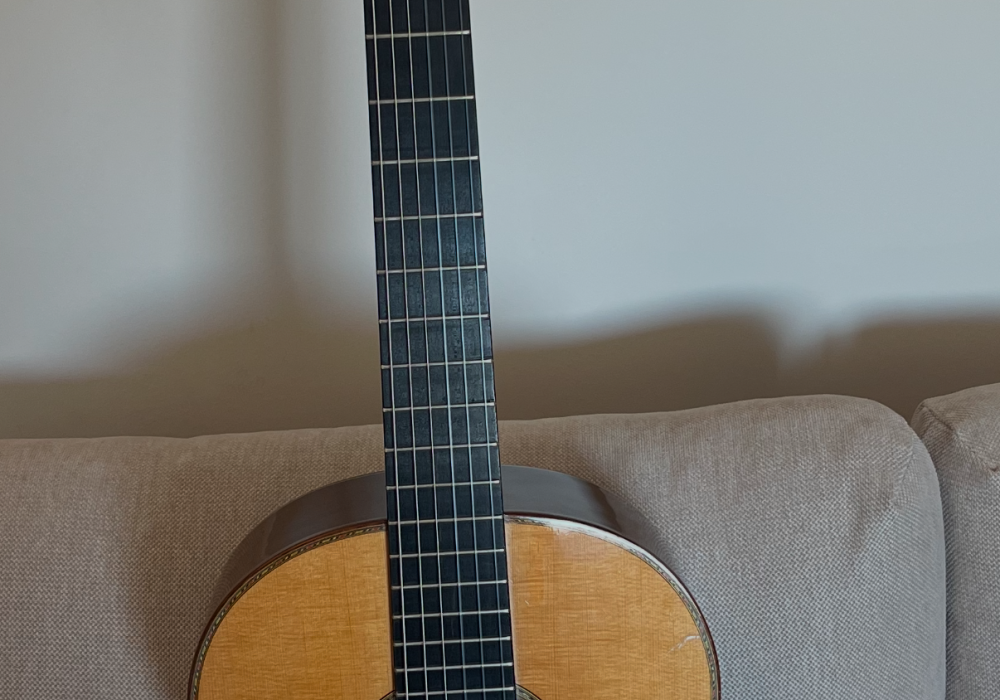 2012 Paulino Bernabe M50 Cedar Madagascar rosewood