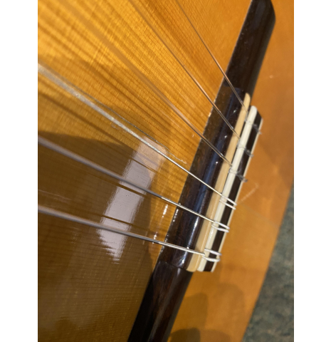 1996 Michele Della Guistina liutaio spruce Indian Rosewood 1996 Michele Della Guistina liutaio spruce Indian Rosewood