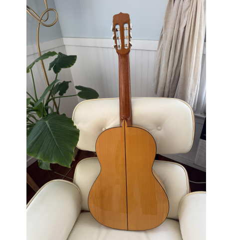 2001 Ramirez Student Model FL-2 Cypress