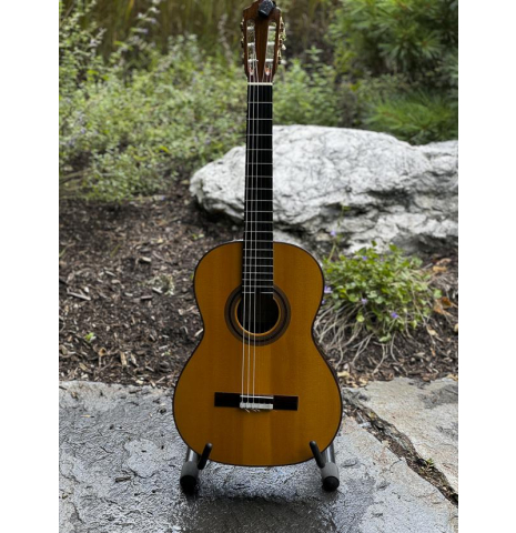 2020 Pierre Alexandre Bellest #58 Select Italian Spruce Old Growth EIRW