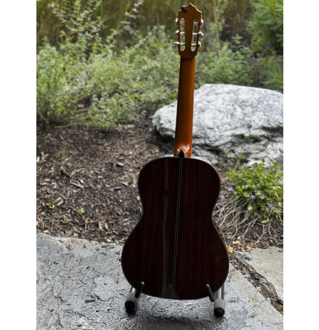 2020 Pierre Alexandre Bellest #58 Select Italian Spruce Old Growth EIRW