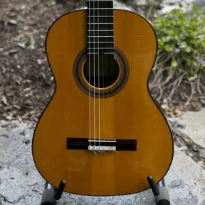 Buy Second Hand & New Guitars | GSI Marketplace