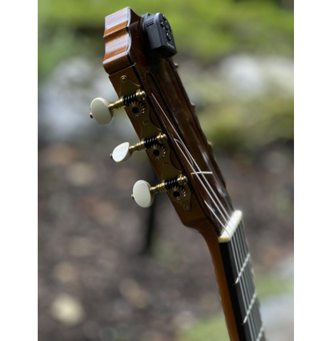 2020 Pierre Alexandre Bellest #58 Select Italian Spruce Old Growth EIRW