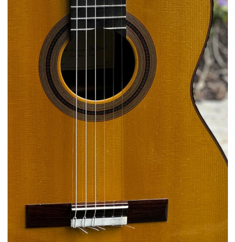 2020 Pierre Alexandre Bellest #58 Select Italian Spruce Old Growth EIRW