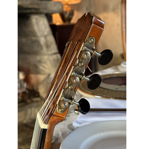 2015 Glenn Canin SP/BR Spruce Brazilian Rosewood